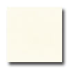 Daltile Daltile Design Porcelain Unpolished 12 X 12 Bianco D Alba Tile  &