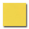 Daltile Daltile Design Porcelain Unpolished 12 X 12 Giallo Modena Tile  &