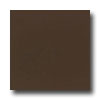 Daltile Daltile Design Porcelain Unpolished 12 X 12 Testa Di Moro Tile  &
