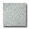 Emser Tile Emser Tile Granite 12 X 12 Bianco Catalina Tile  &  Stone