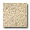 Emser Tile Emser Tile Granite 12 X 12 Empress Gold Tile  &  Stone