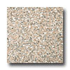 Emser Tile Emser Tile Granite 12 X 12 Panetela Brown Tile  &  Stone