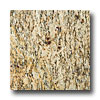 Emser Tile Emser Tile Granite 12 X 12 Santa Cecilia Tile  &  Stone