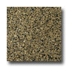 Emser Tile Emser Tile Granite 12 X 12 Tropical Brown Tile  &  Stone