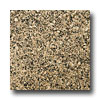 Emser Tile Emser Tile Granite 12 X 12 Tropical Tan Tile  &  Stone