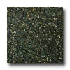 Emser Tile Emser Tile Granite 12 X 12 Ubatuba Green Tile  &  Stone