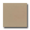 Daltile Daltile Design Porcelain Polished 12 X 12 Barite Tile  &  Stone