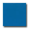 Daltile Daltile Design Porcelain Polished 12 X 12 Blu Cobalto Tile  &  Sto