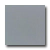 Daltile Daltile Design Porcelain Polished 12 X 12 Grigio Gandalf Tile  &
