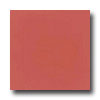 Daltile Daltile Design Porcelain Polished 12 X 12 Rosso Fiorentino Tile