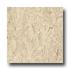 Armstrong Armstrong Royal Brushed Sand Vinyl Flooring