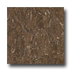 Armstrong Armstrong Royal Chocolate Dream Vinyl Flooring