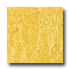 Armstrong Armstrong Royal Citrus Yellow Vinyl Flooring