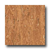 Armstrong Armstrong Royal Copper Clay Vinyl Flooring