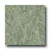 Armstrong Armstrong Royal Garden Green Vinyl Flooring