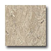 Armstrong Armstrong Royal Nickel Vinyl Flooring