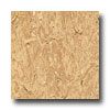 Armstrong Armstrong Royal Sahara Sand Vinyl Flooring