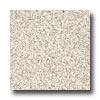 Armstrong Armstrong Commission Plus Autumn Park Moss Vinyl Flooring