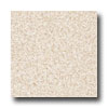 Armstrong Armstrong Commission Plus Autumn Park Straw Vinyl Flooring