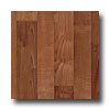 Armstrong Armstrong Commission Plus Echo Lake Spice Vinyl Flooring