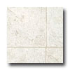 Armstrong Armstrong Commission Plus Limestone Valley White Sands Vinyl Flo