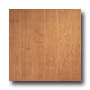 Armstrong Armstrong Arbor Art 4 X 36 Alder Mid Vinyl Flooring