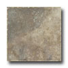 Tesoro Tesoro Isla Colosseum 6.5 X 6.5 Visone Tile  &  Stone