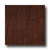 Armstrong Armstrong Arbor Art 4 X 36 Eastern Walnut Red Brown Vinyl Floori