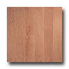 Armstrong Armstrong Arbor Art 4 X 36 Natural Beech Light Vinyl Flooring