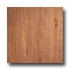 Armstrong Armstrong Arbor Art 4 X 36 Northern Oak Medium Vinyl Flooring