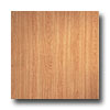 Armstrong Armstrong Arbor Art 4 X 36 Oak Light Vinyl Flooring