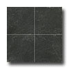Emser Tile Emser Tile Slate  &  Quartzite 12 X 12 Midnight Black Tile  &  Stone