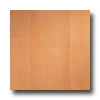 Armstrong Armstrong Arbor Art 6 X 36 Warm Beech Medium Vinyl Flooring