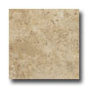 Armstrong Armstrong Earthcuts 12 X 12 Durango Gold Vinyl Flooring