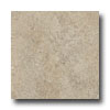 Armstrong Armstrong Earthcuts 12 X 12 Sierra Taupe Vinyl Flooring