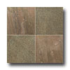 Emser Tile Emser Tile Slate  &  Quartzite Honed 12 X 12 Copper Tile  &  Stone