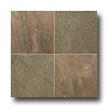 Emser Tile Emser Tile Slate  &  Quartzite Honed 16 X 16 Copper Tile  &  Stone