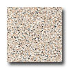 Armstrong Armstrong Safety Zone - Slip Retardant Cobblestone Peach Vinyl F