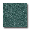 Armstrong Armstrong Safety Zone - Slip Retardant Dark Basil Vinyl Flooring