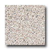 Armstrong Armstrong Safety Zone - Slip Retardant Earth Stone Vinyl Floorin