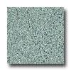 Armstrong Armstrong Safety Zone - Slip Retardant Forest Floor Vinyl Floori