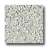 Armstrong Armstrong Safety Zone - Slip Retardant Patina Green Vinyl Floori