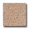 Armstrong Armstrong Safety Zone - Slip Retardant Soft Cedar Vinyl Flooring
