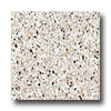 Armstrong Armstrong Safety Zone - Slip Retardant Stone Beige Vinyl Floorin