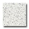 Armstrong Armstrong Safety Zone - Slip Retardant Weathered Alabaster Vinyl