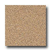 Armstrong Armstrong Arteffects Premium Excelon Antique Papyrus Vinyl Floor