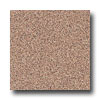 Armstrong Armstrong Arteffects Premium Excelon Fresco Red Vinyl Flooring