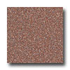 Armstrong Armstrong Arteffects Premium Excelon Roman Red Vinyl Flooring