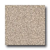 Armstrong Armstrong Arteffects Premium Excelon Silver Sable Vinyl Flooring