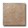 United States Ceramic Tile United States Ceramic Tile Avalon 12 X 12 Pebblestone Tile  &  Sto